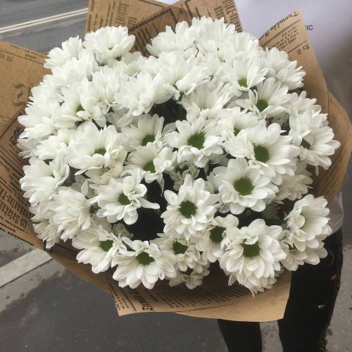 Букет из хризантем "Скандинавия"